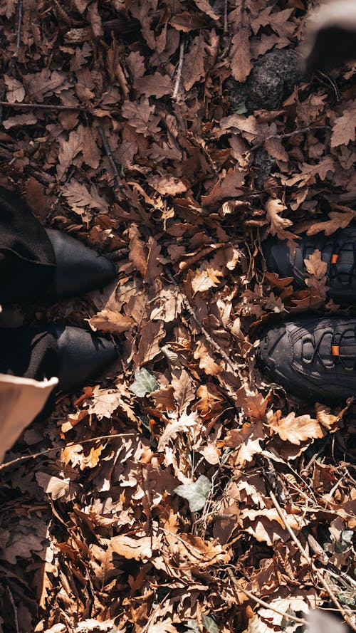 Shoes of Two People on Fallen Leaves