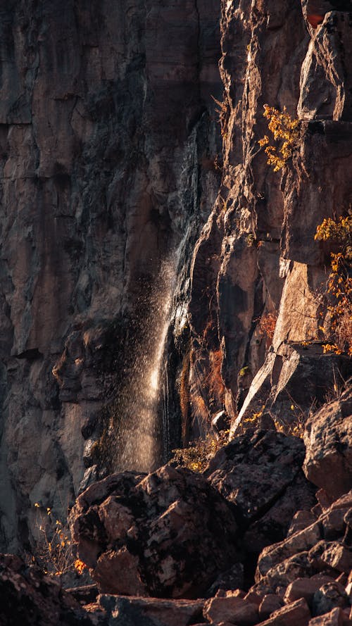 Foto profissional grátis de adega, geologia, hera