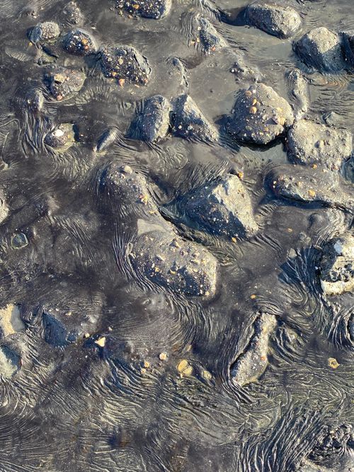 Free Close-up of rocky beach mud with water ripples creating textured patterns. Stock Photo