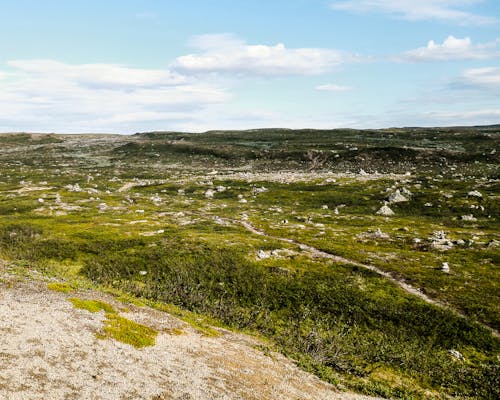 Norway stones 