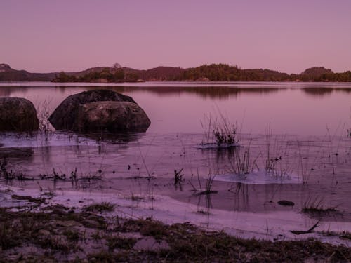 Ice Water Purple lake