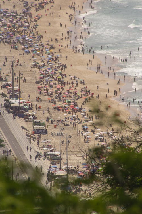 Crowd on Sandy Beach in Sunny Day