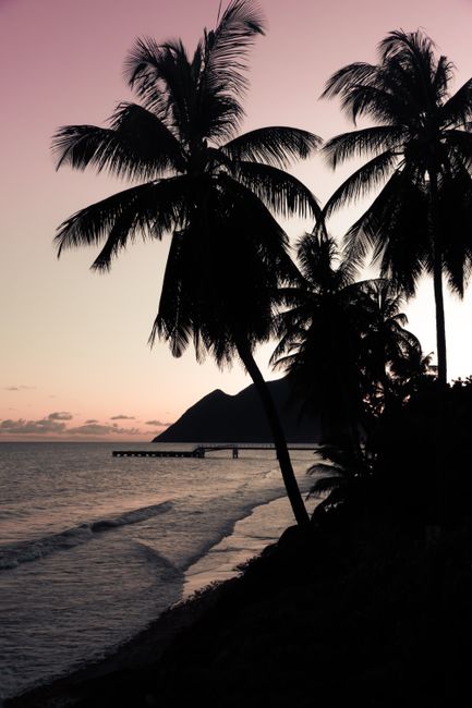 A tranquil tropical beach scene with palm trees silhouetted against a colorful sunset sky.