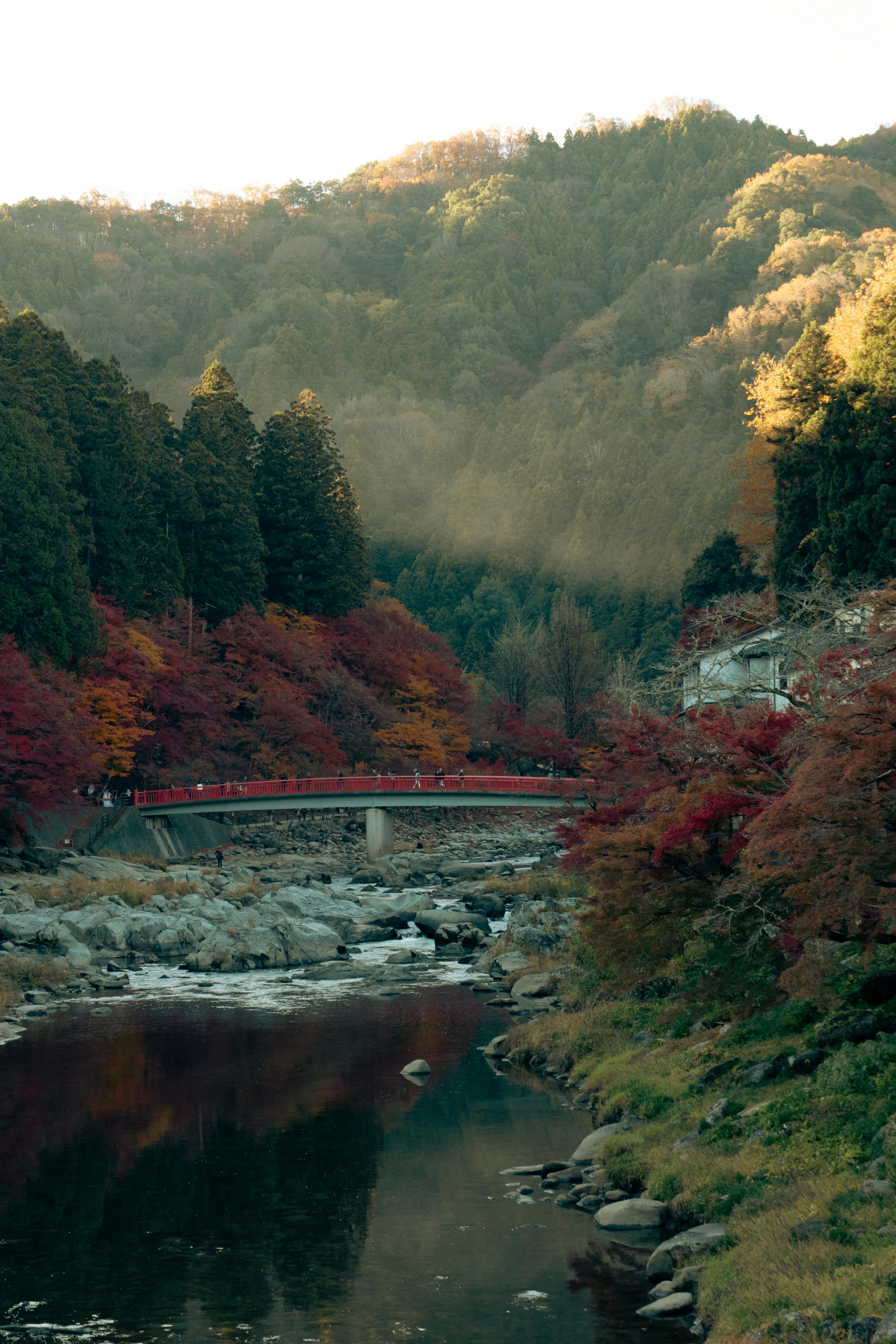 Capture of a scenic river and bridge surrounded by vibrant autumn foliage in Toyota, Japan.
