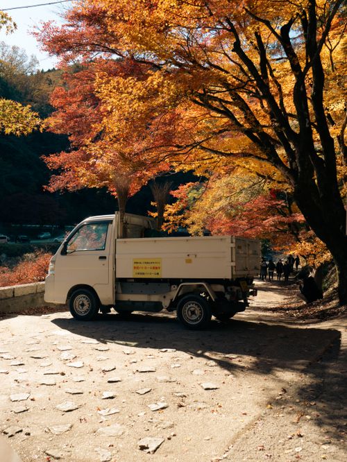 Free A white truck parked on a scenic autumn road in Toyota, Japan, surrounded by vibrant trees. Stock Photo