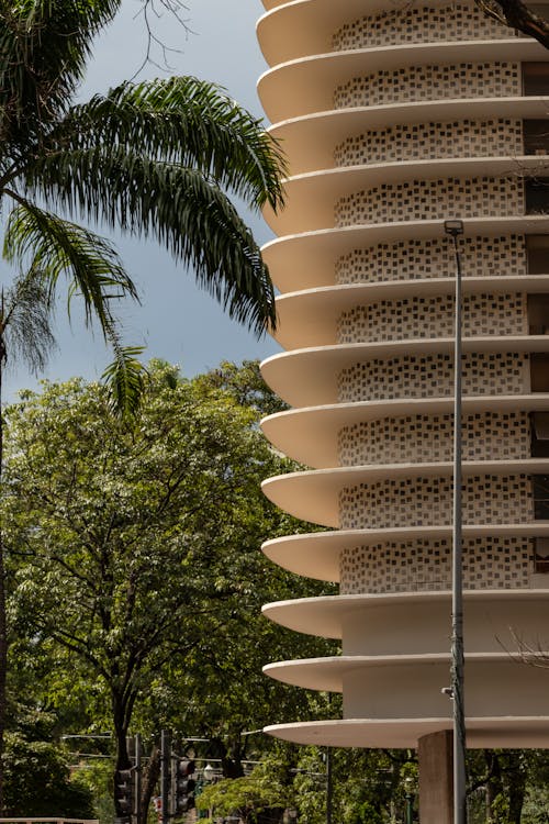 Gratis stockfoto met bomen, Brazilië, gebouw