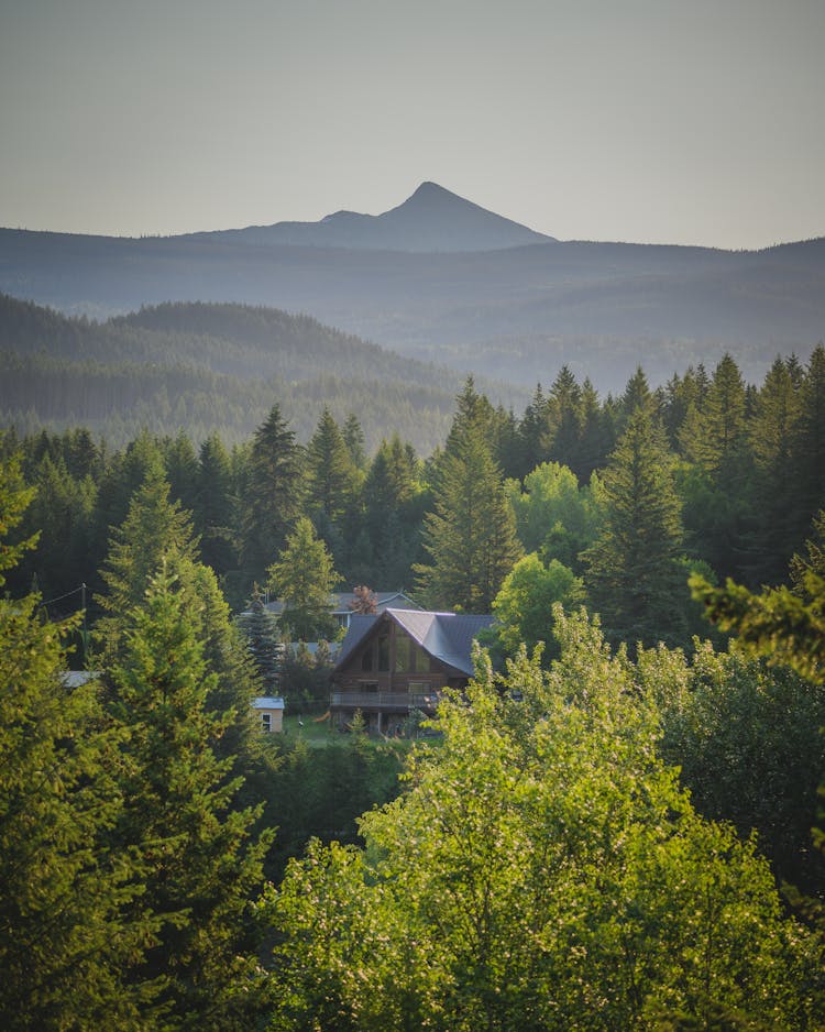 Wooden House On The Hills In The Forest