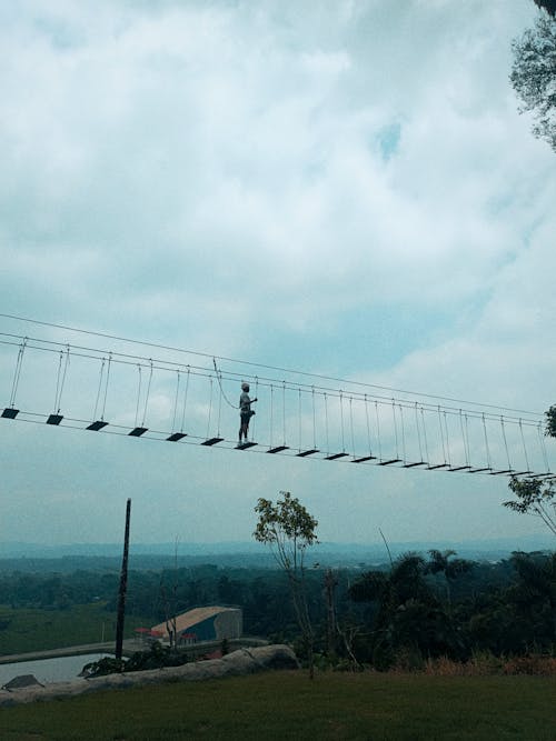 Foto stok gratis jembatan, kebun, langit