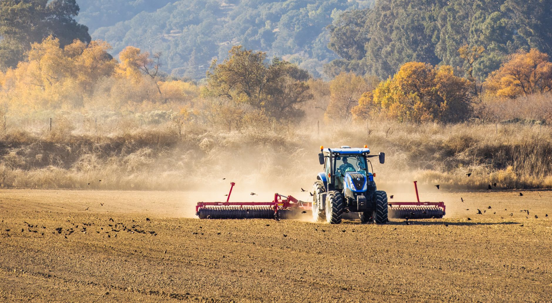 A tractor plowing a field in a rural area surrounded by autumn foliage.