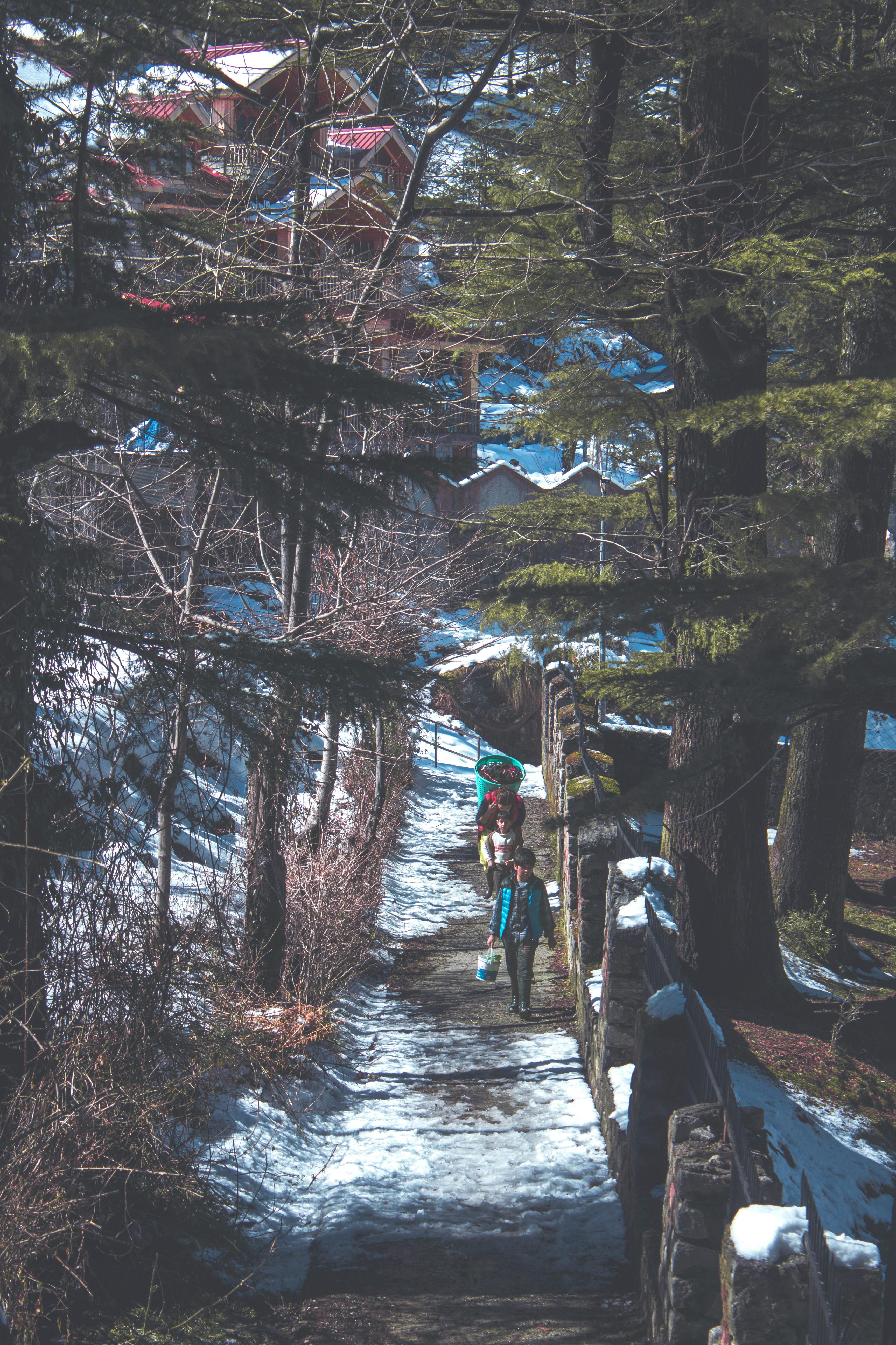 People Walking Along Pathway · Free Stock Photo