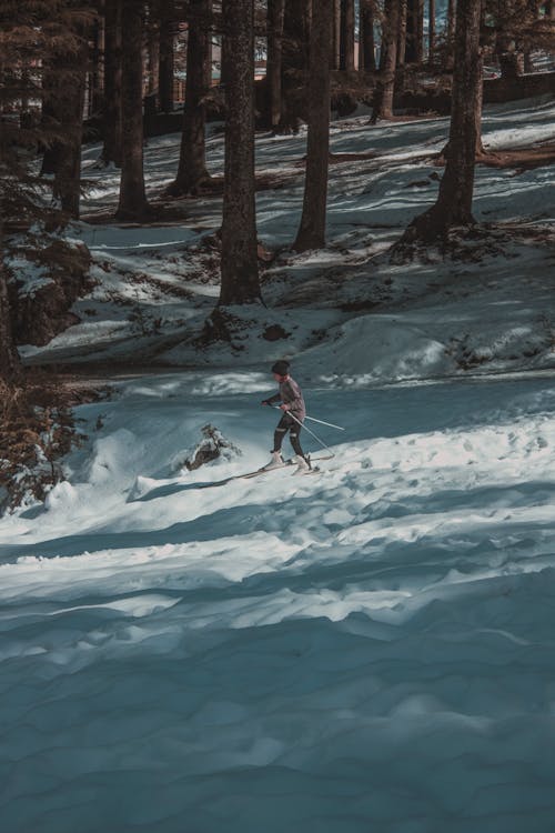 Photo of Person Skiing