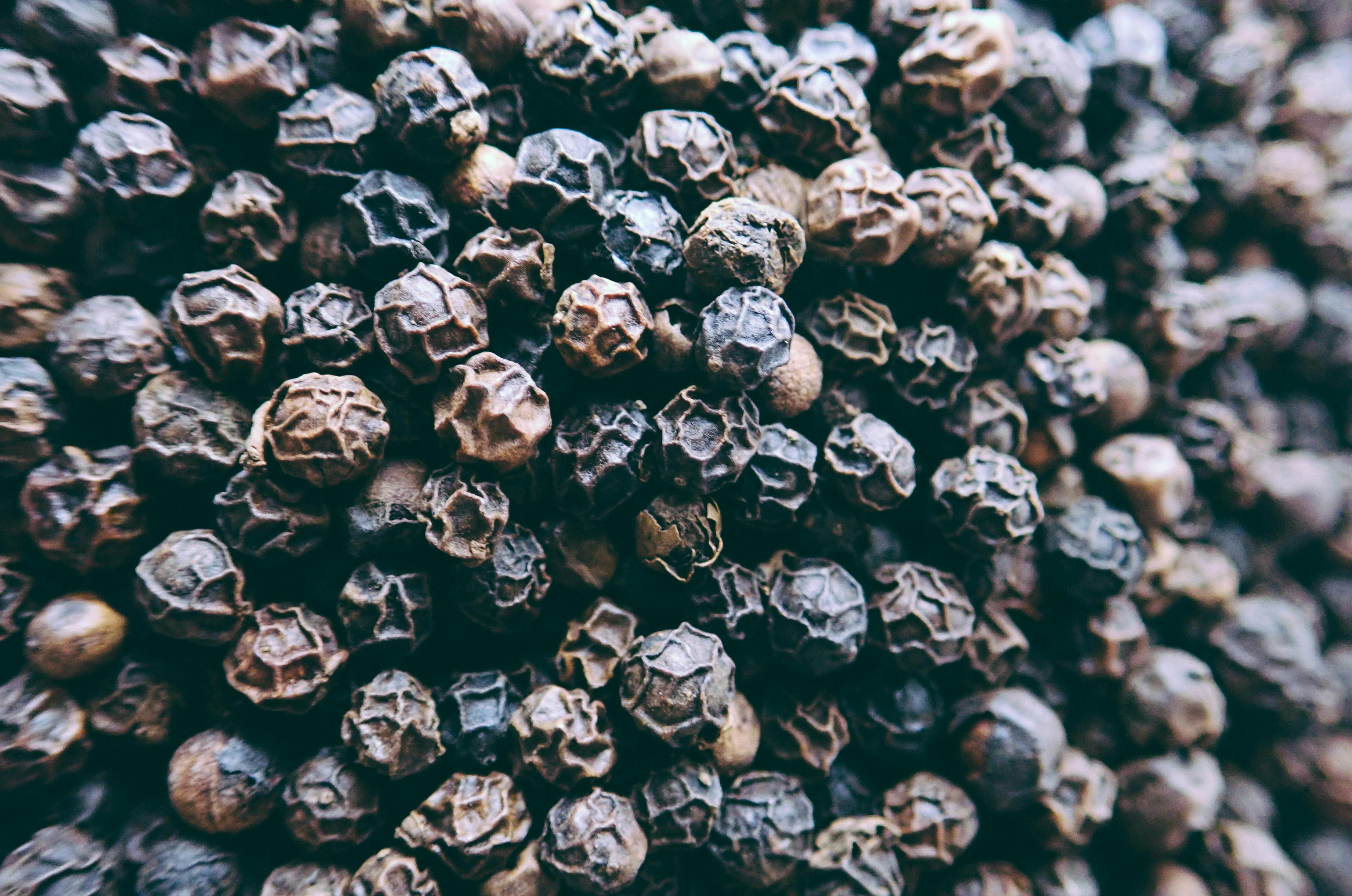 Black pepper Black Pepper · Free Stock Photo