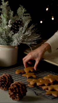 Festive scene with gingerbread cookies on a rack and holiday decor, perfect for Christmas atmosphere.
