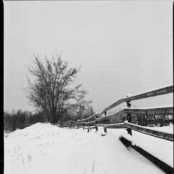 Black and white winter landscape featuring a snow-covered field and a wooden fence.