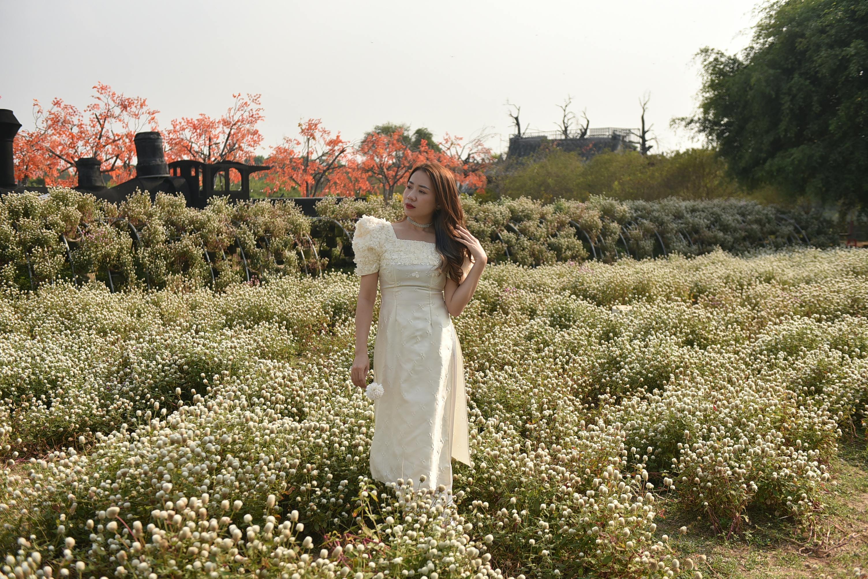 Woman in White Dress Holding White Rose · Free Stock Photo