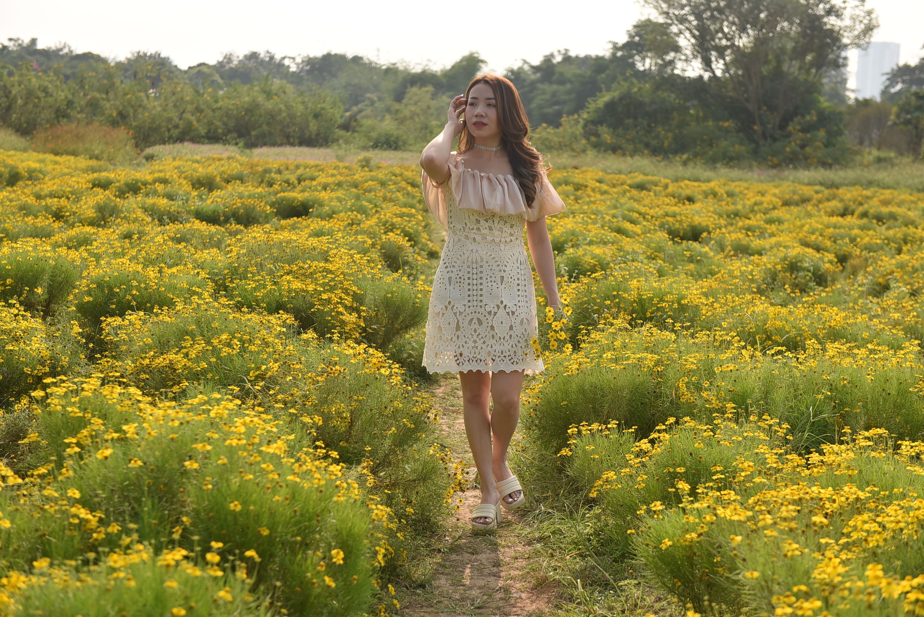 Young Woman Walking on a Meadow and Holding Flowers · Free Stock Photo