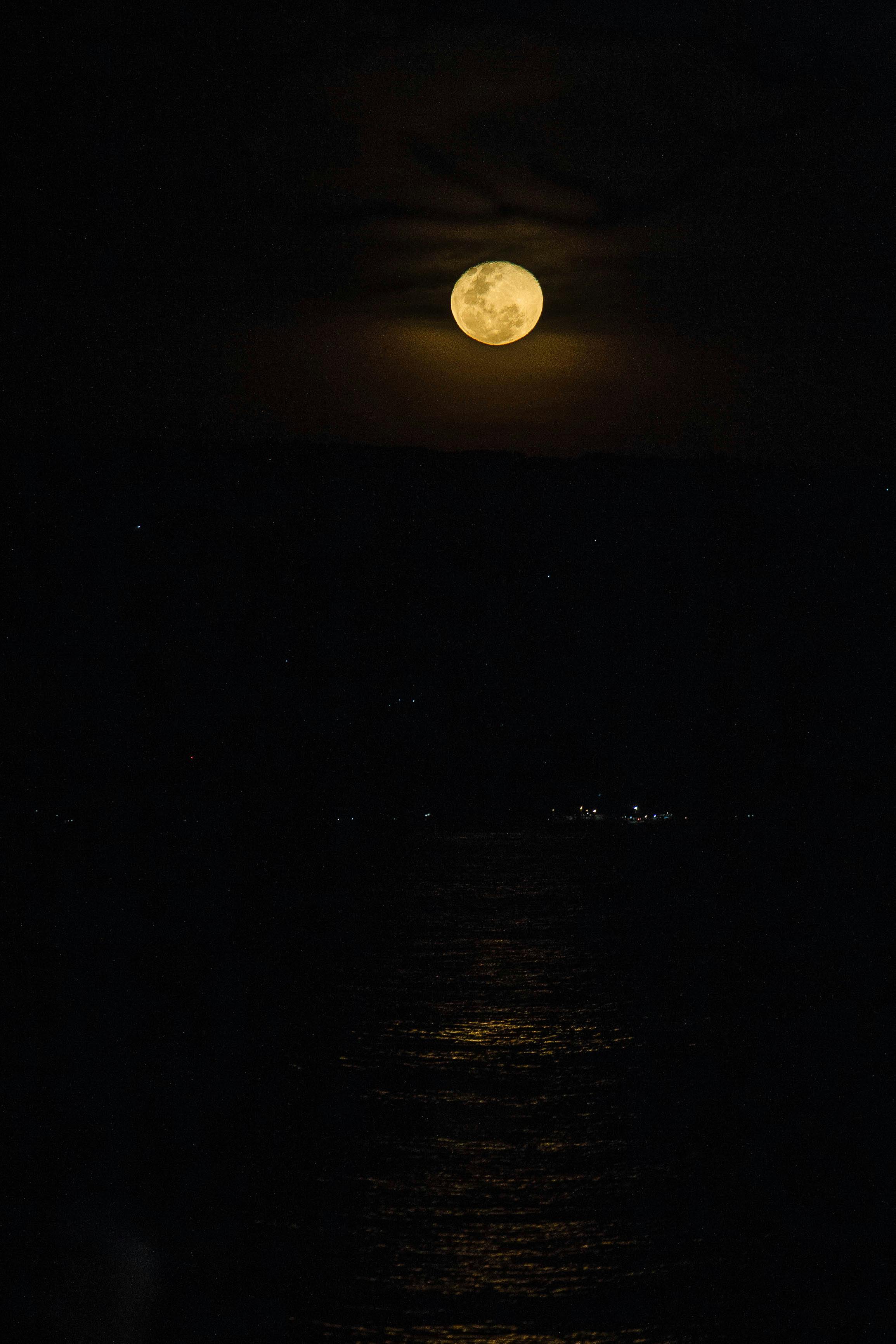 Foto Profissional Gratuita De Fotografia Noturna Lua Cheia Foto Profissional Gratuita De Fotografia Noturna Lua Cheia