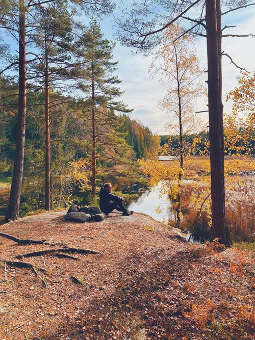 Free A person sitting by a serene riverbank surrounded by autumn foliage in a tranquil forest setting. Stock Photo