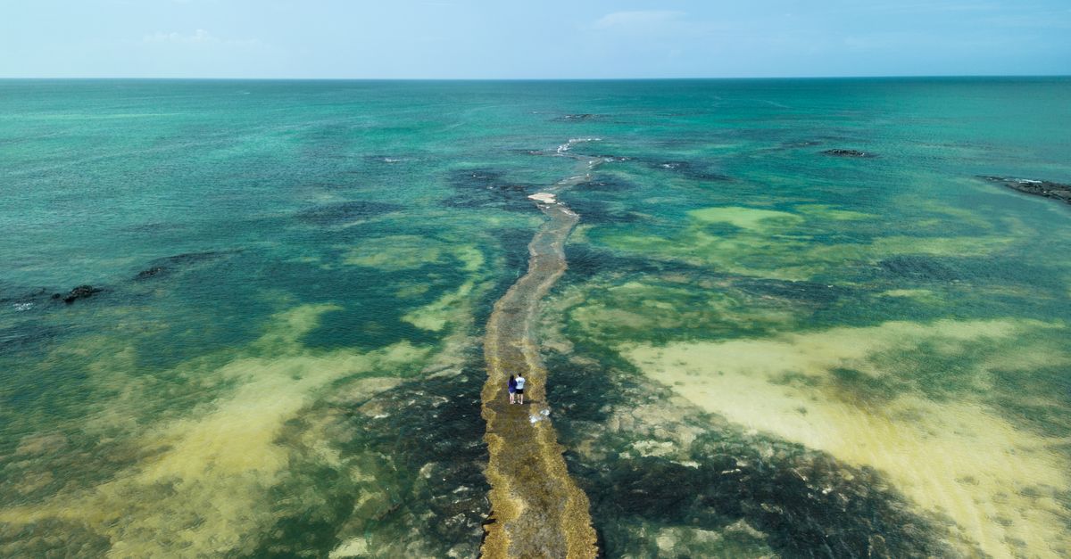 Andros Things To Do — Caribbean travel guide