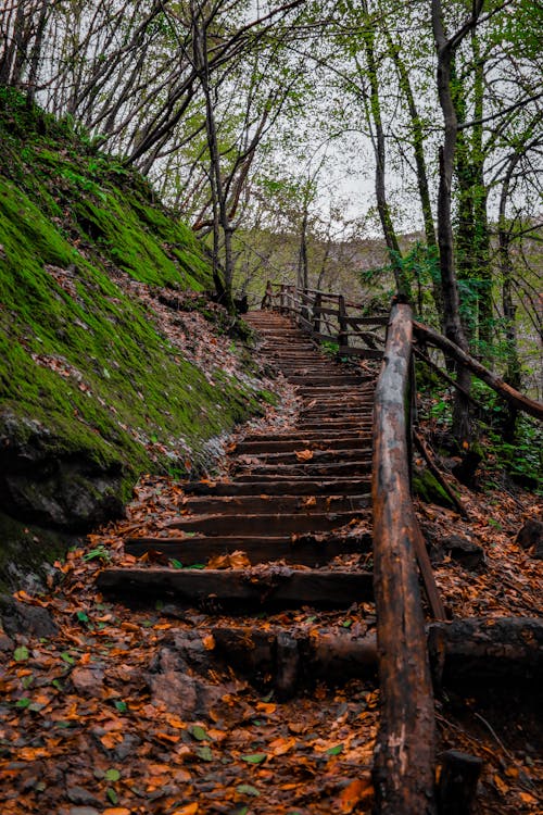 A wooden staircase leading up to a hillside