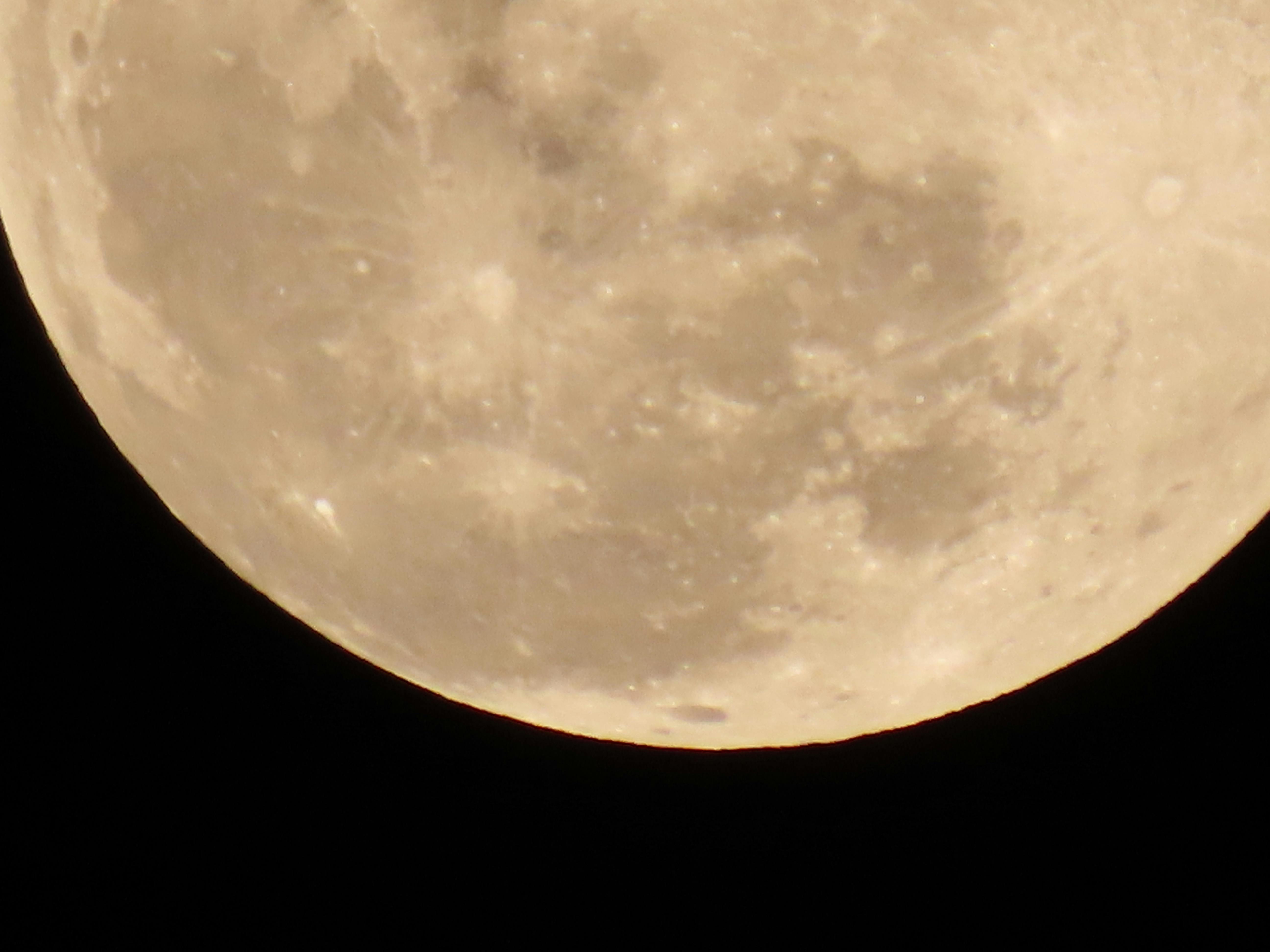 Free stock photo of full moon, moon