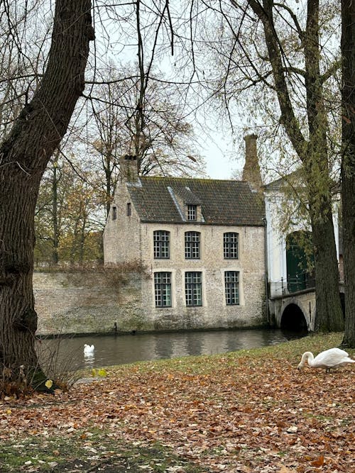 Ilmainen kuvapankkikuva tunnisteilla begijnhof, beguinage, belgia