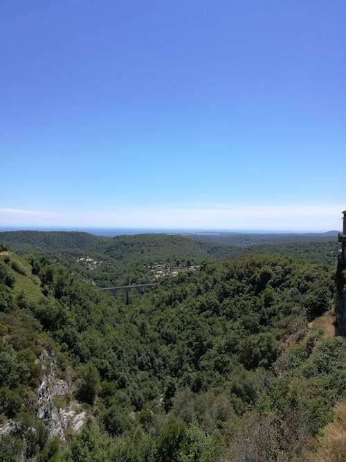 Gratis stockfoto met aardig, bossen, Europa