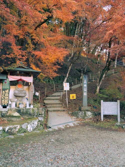 Free Explore a serene path amidst vibrant fall foliage in Toyota City, Japan. Stock Photo