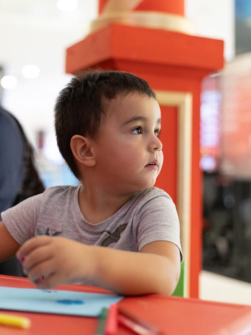 Little Boy in Gray T-Shirt Looking Away