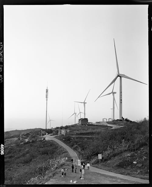 Film Photograph of Wind Turbines on a Field 