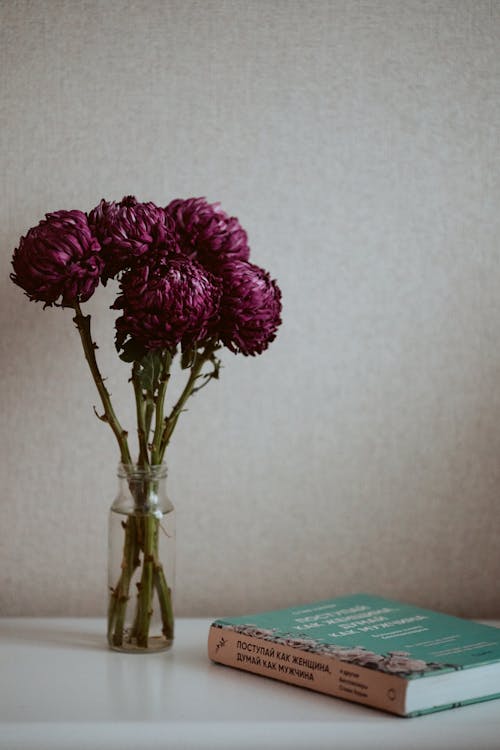Book and Bouquet of Pink Flowers on a Table 