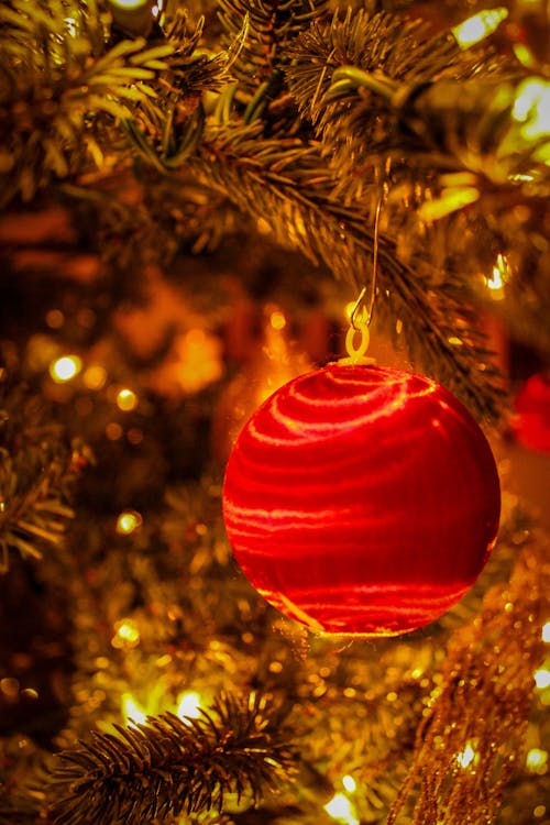 Free stock photo of christmas, christmas ball, christmas ornament