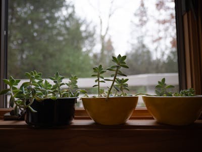 blog article feature image