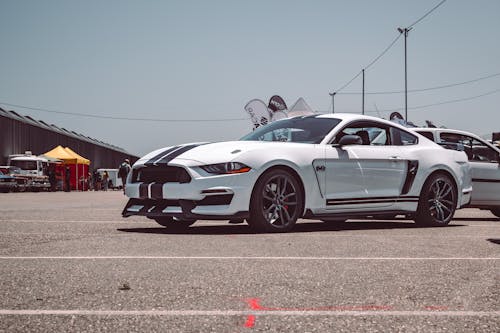 Foto profissional grátis de car, ford, ford mustang