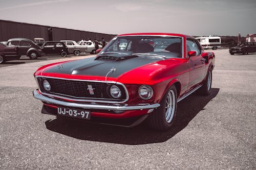 Fotobanka s bezplatnými fotkami na tému ford-mustang, mach 1, výkonné auto