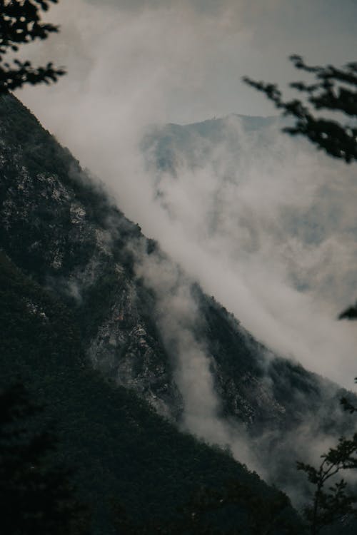 Darmowe zdjęcie z galerii z dolina, drzewa, dym