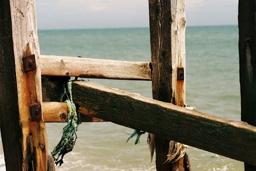 Darmowe zdjęcie z galerii z drewno, morze, rosa