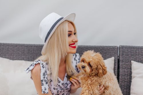 Free A woman with a white hat and a cute poodle sitting together outdoors on a sunny day. Stock Photo