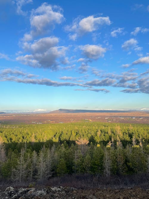 Kostenloses Stock Foto zu herbstwald, island, schöne landschaft