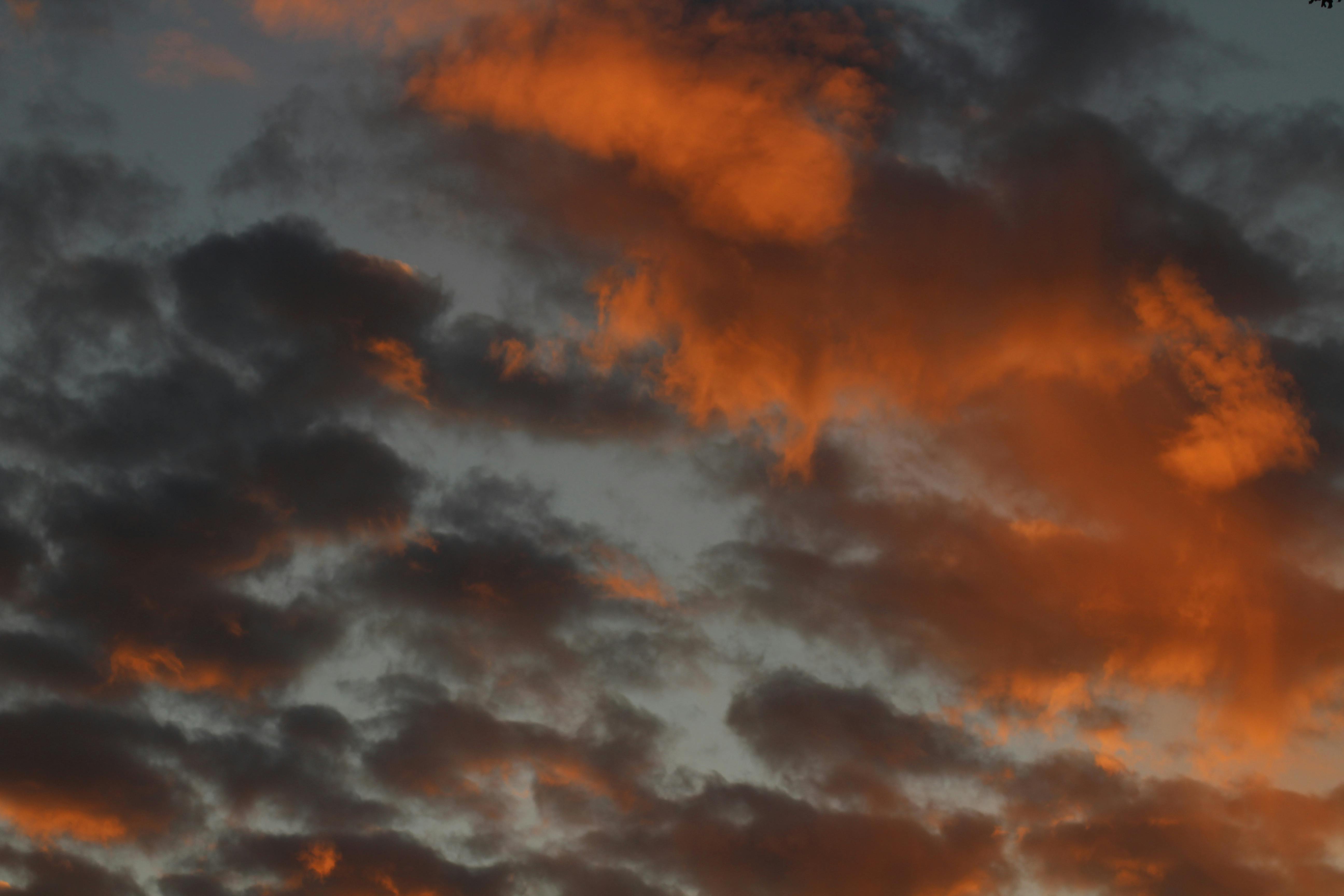 Free stock photo of orange sky