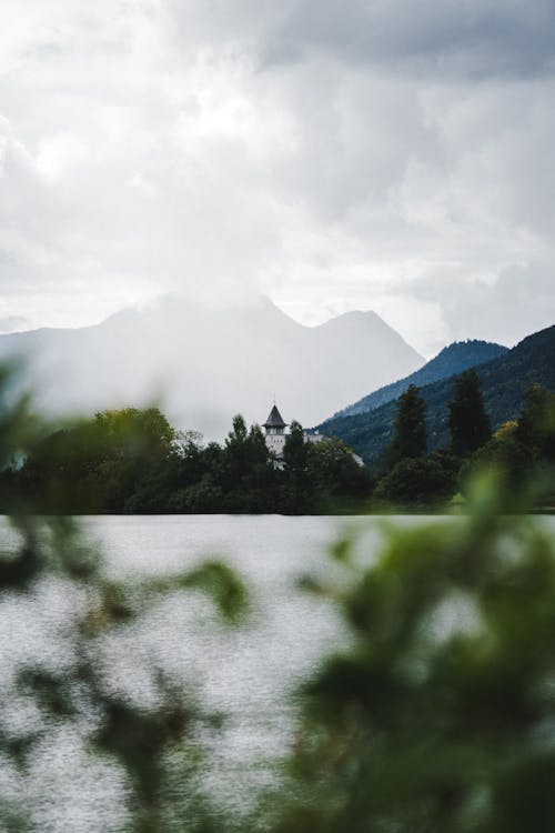 Foto d'estoc gratuïta de enfocament selectiu, fulles, llac