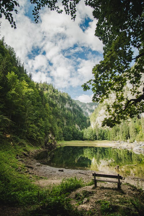 Free Lake in Green Valley and Forest Stock Photo