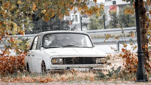 A Vintage Car Parked among Autumnal Trees