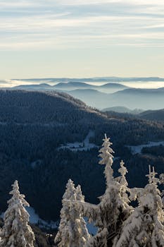 Snowy mountain landscape with fog and mist in Seebach, Germany, captured at sunrise.