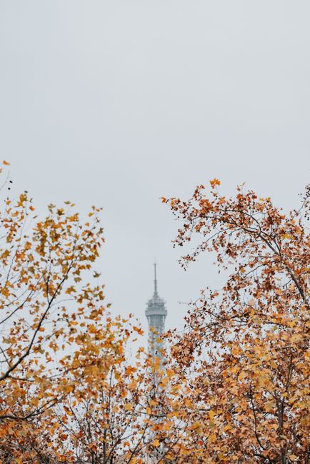 The iconic Eiffel Tower partially obscured by colorful autumn leaves in Paris, France.