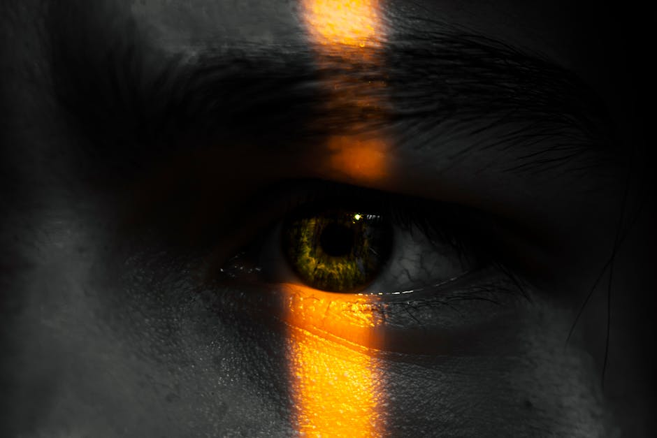 Discover the Surprising Connection Between Eyebrow Shapes and Behavior