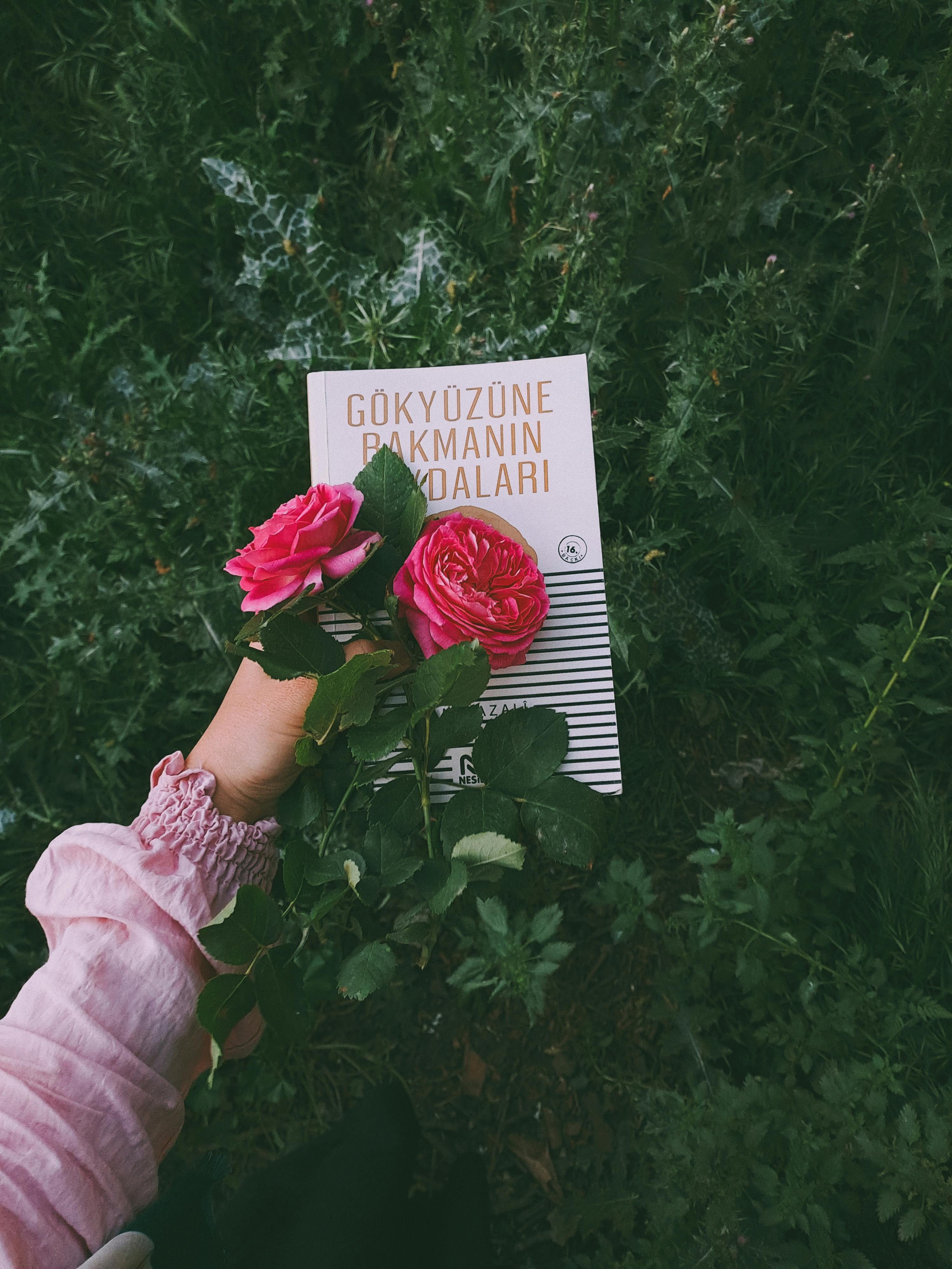 A hand holding pink roses and a book against a green garden backdrop, evoking growth and tranquility.