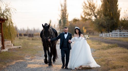 Free Bride and groom walking a black horse in rural setting, elegant wedding attire. Stock Photo