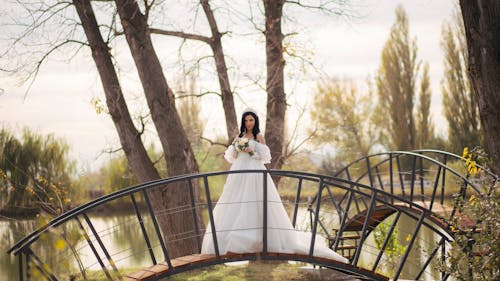 결혼 사진, 공원, 베일의 무료 스톡 사진