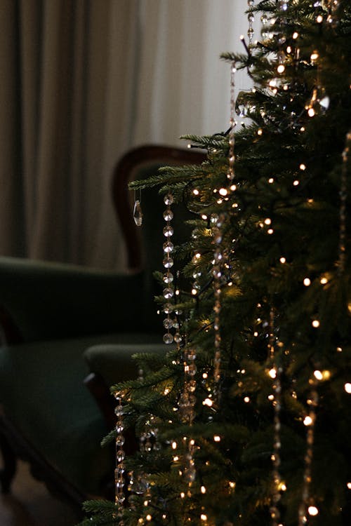 A Christmas Tree in a Room